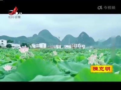 现实版“漠漠水田飞白鹭”