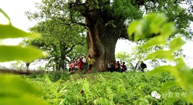 【历史文化名村】寻找“进士村”——防里