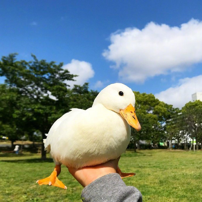 我知道你很累 但是请一定要加油鸭 ​​​​