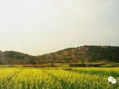 【村游】好景不怕路途远，操场此处更留客！