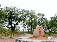 【历史文化名村】寻找“进士村”——防里