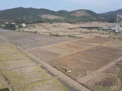 凤阳镇加快高标准农田建设 助推乡村振兴