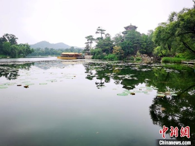 避暑山庄的荷花去哪了？官方回应来了！