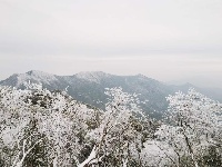 大岗山绝美雪景大片，爱了~