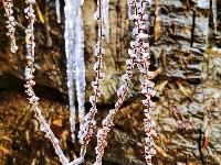 大岗山绝美雪景大片，爱了~