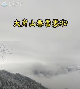 大岗山春雪雾凇