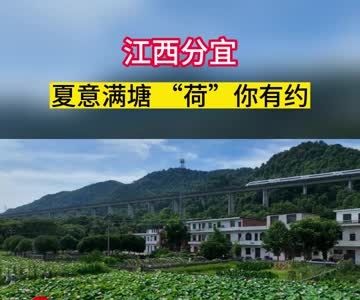 夏意满塘 “荷”你有约