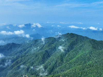 ​【镜见分宜】“亚热带植物基因库”现云海景观