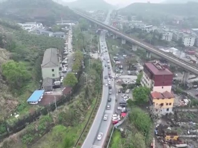 20240405汉塘村“水稻 田螺”基地忙